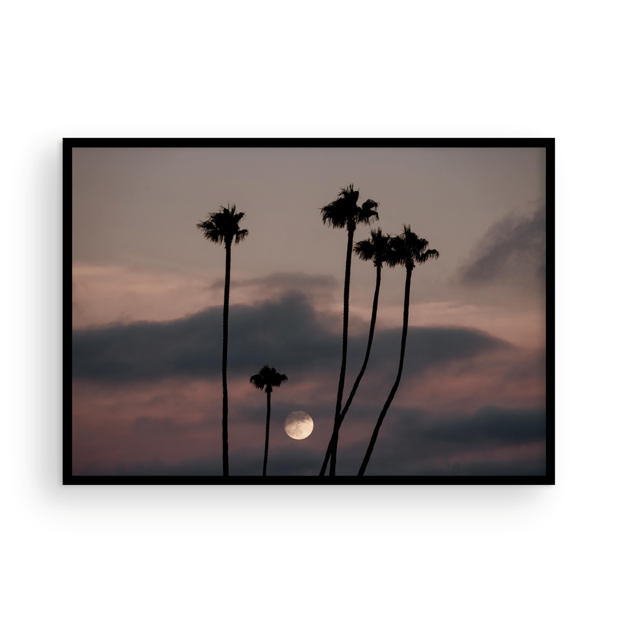 Moonrise, One