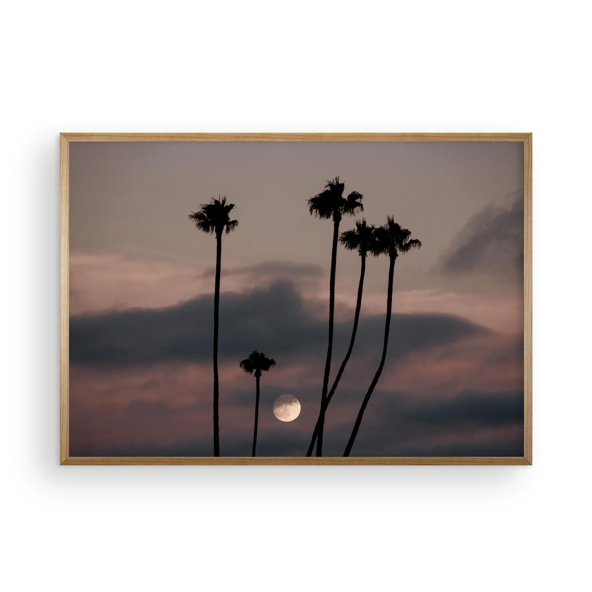 Moonrise, One