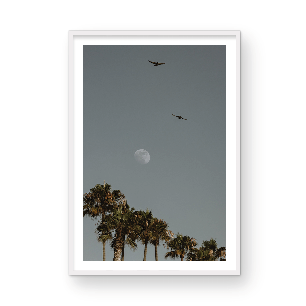 Moonrise, Six