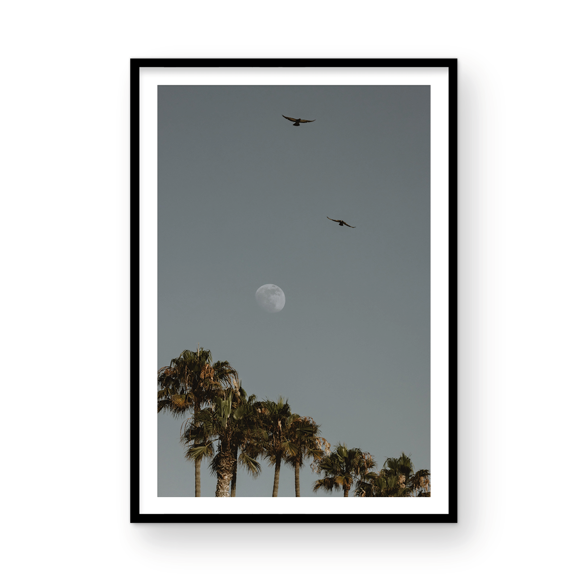 Moonrise, Six