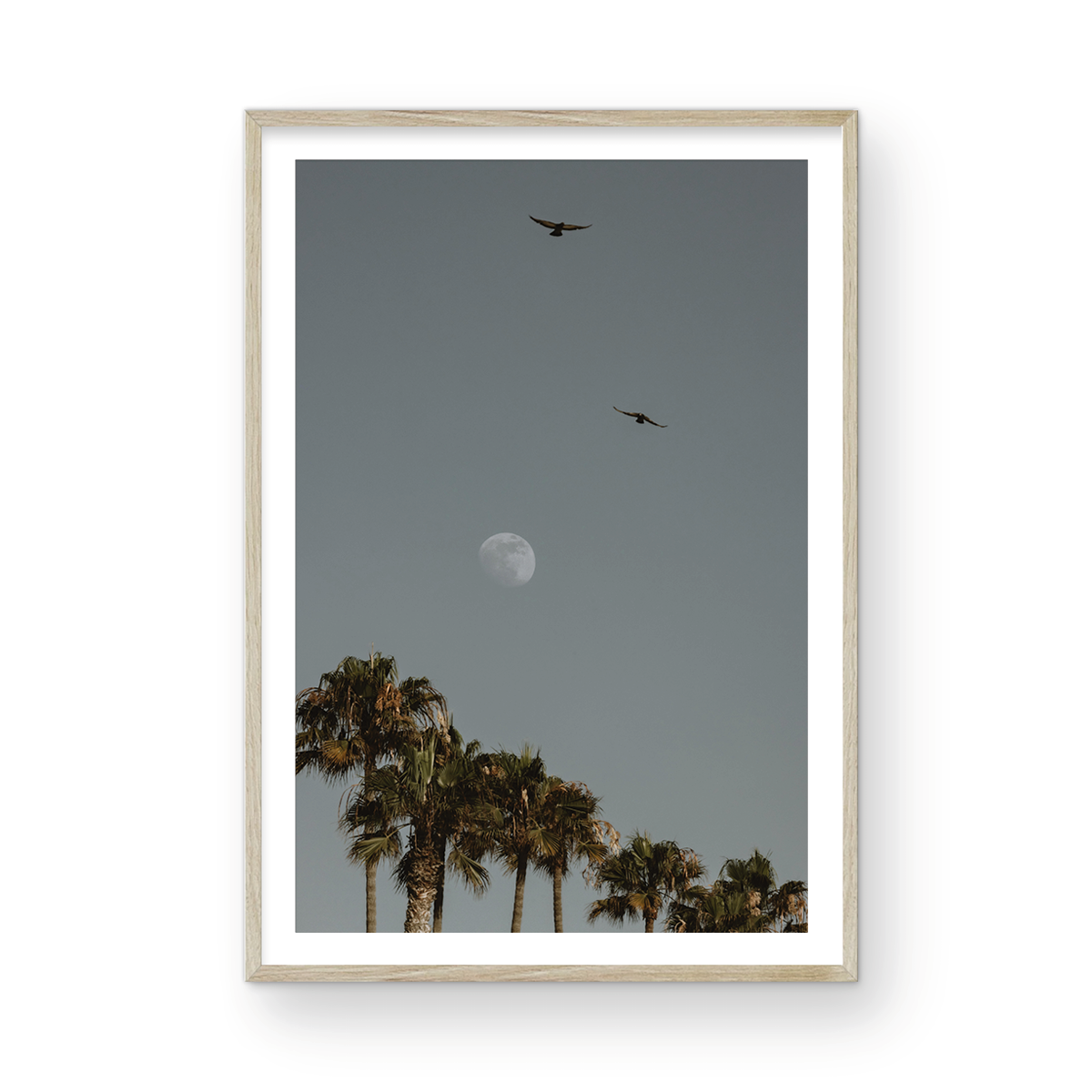 Moonrise, Six