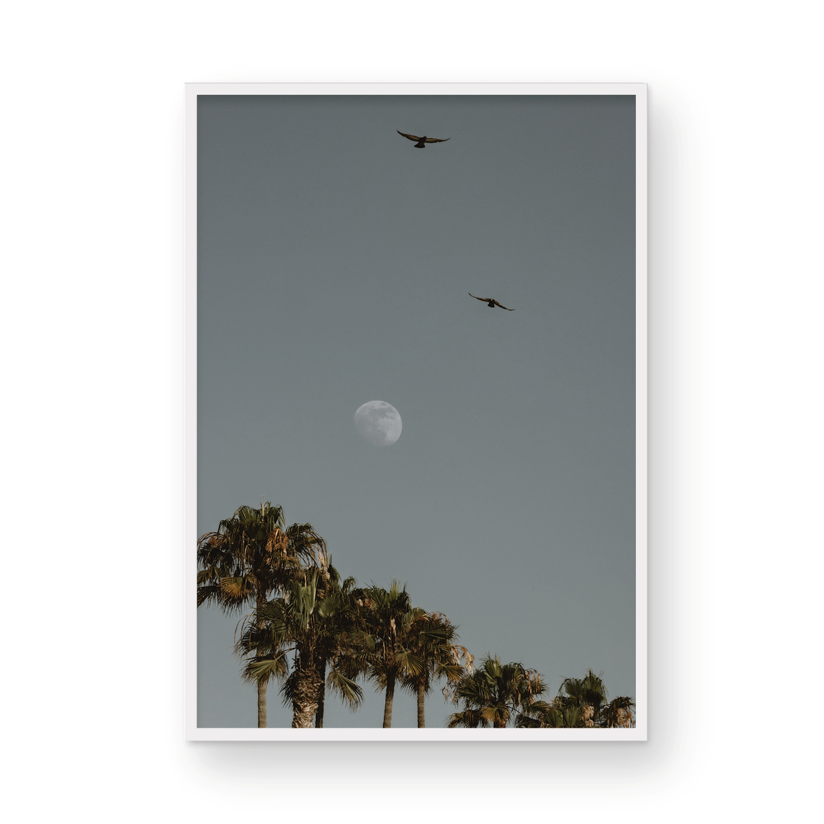 Moonrise, Six