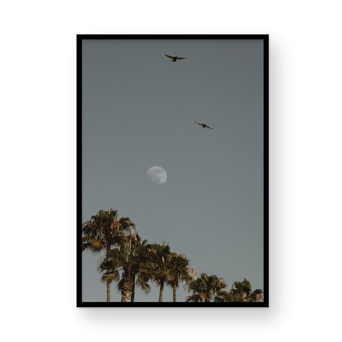 Moonrise, Six