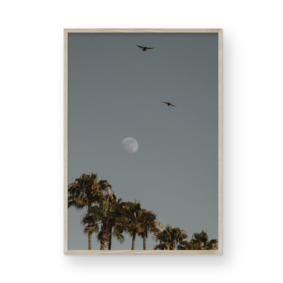 Moonrise, Six