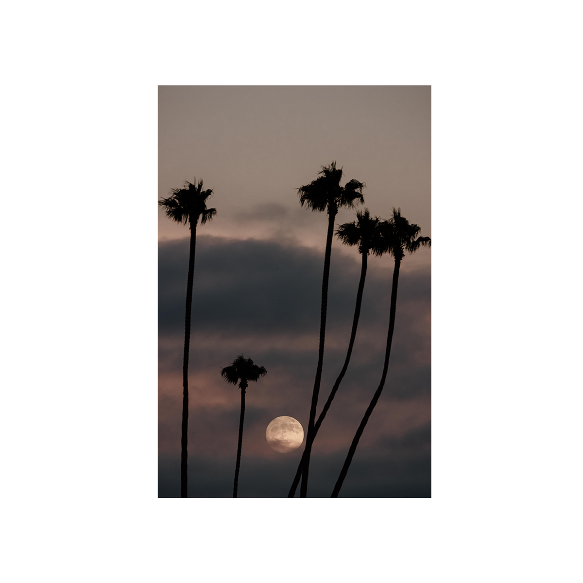 Moonrise, Two