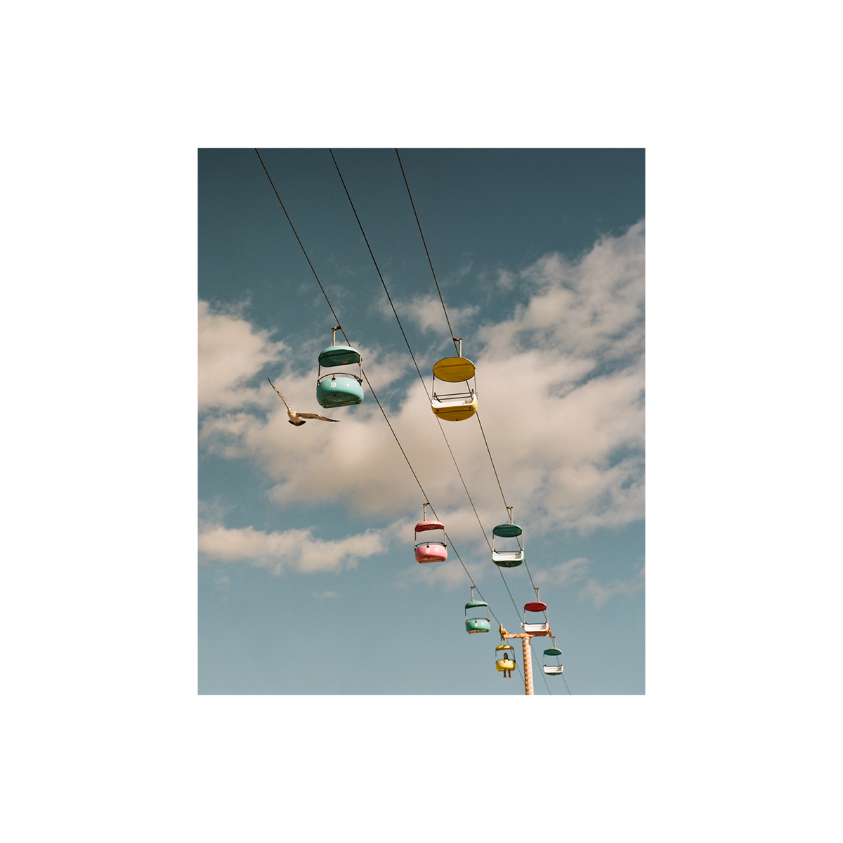 Santa Cruz, One: On Film