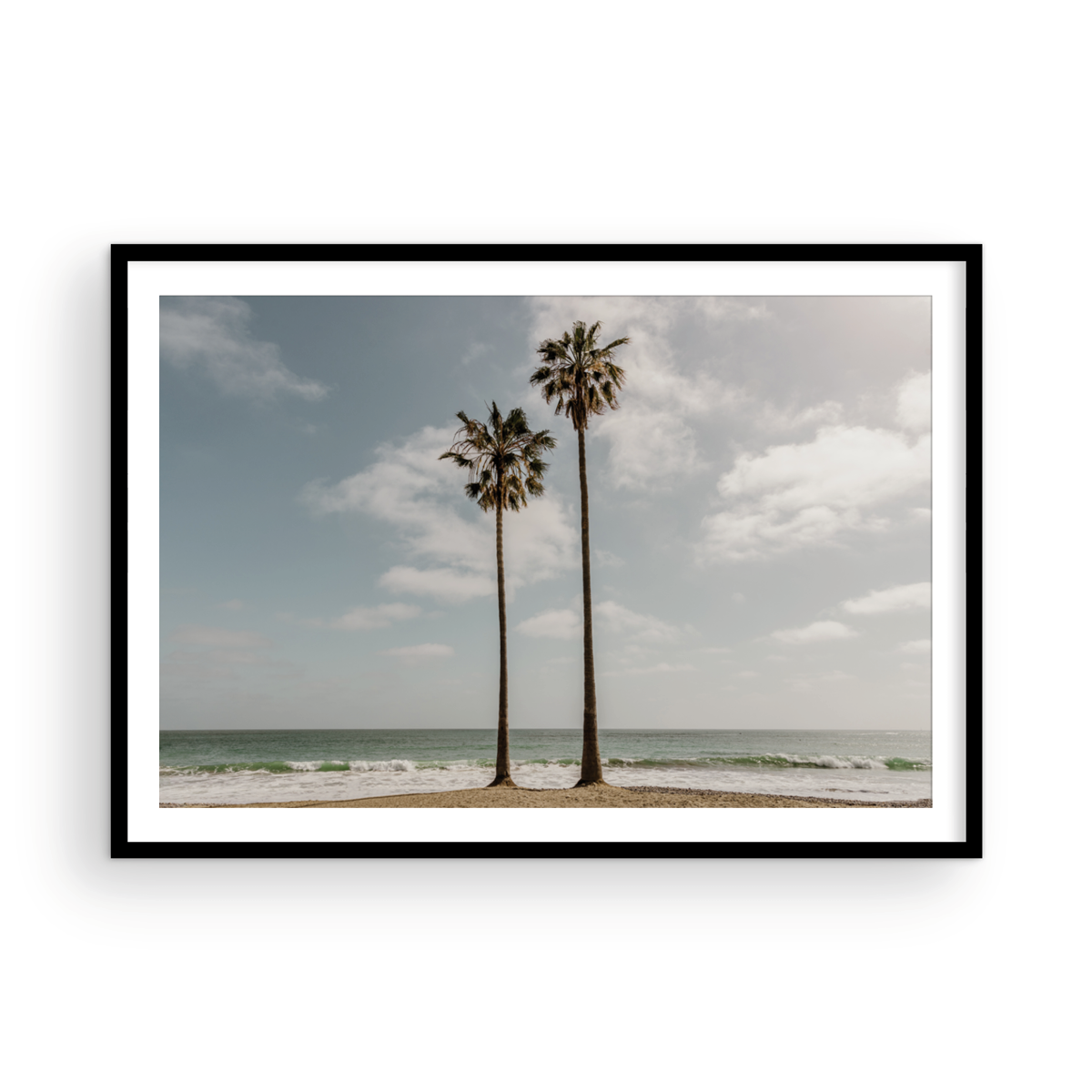 Sibling Palms, One