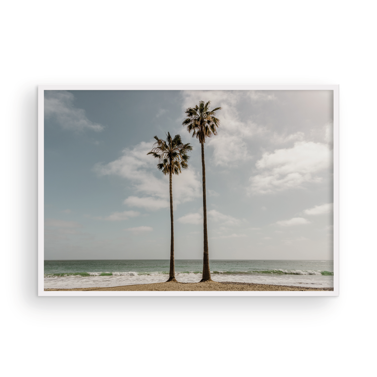 Sibling Palms, One
