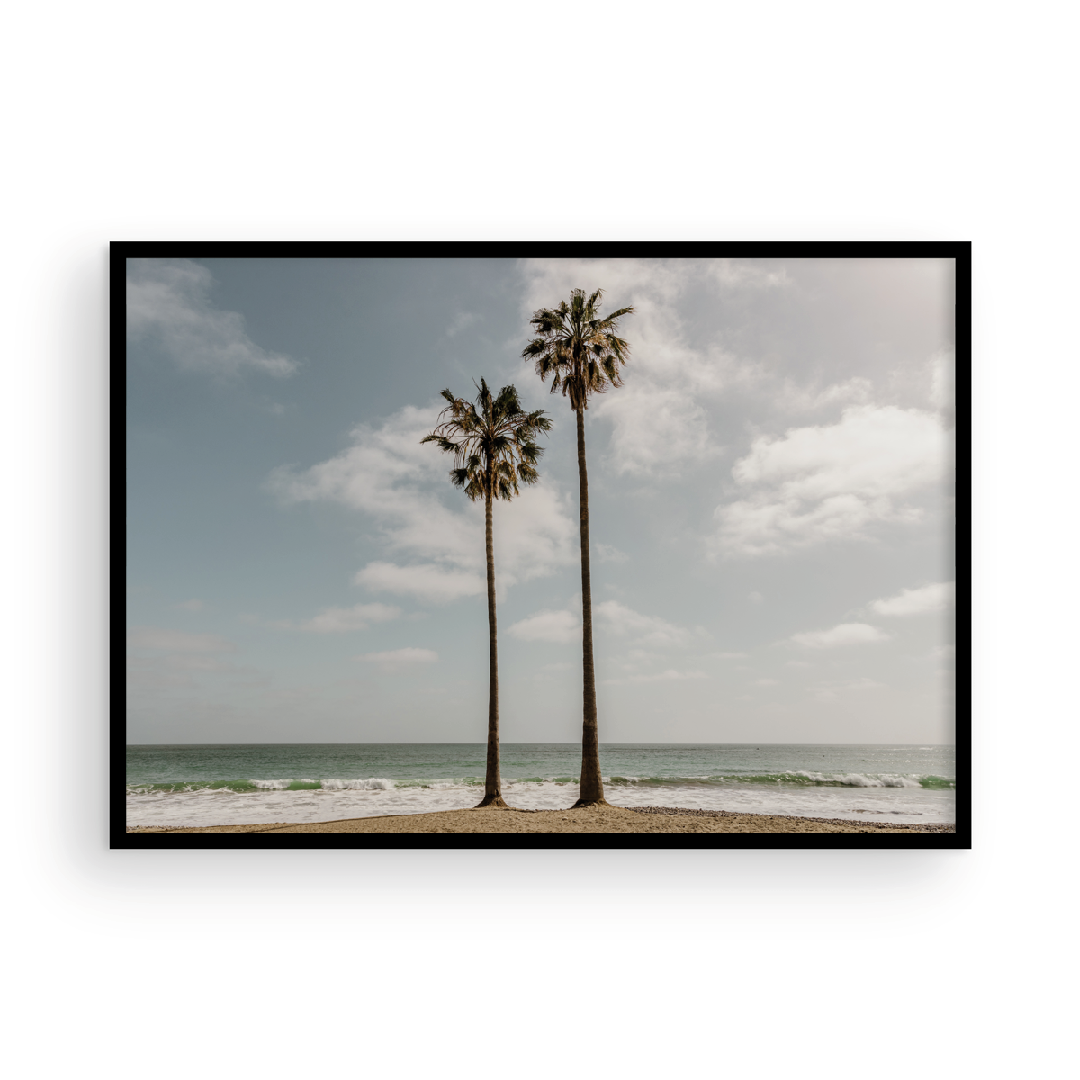 Sibling Palms, One