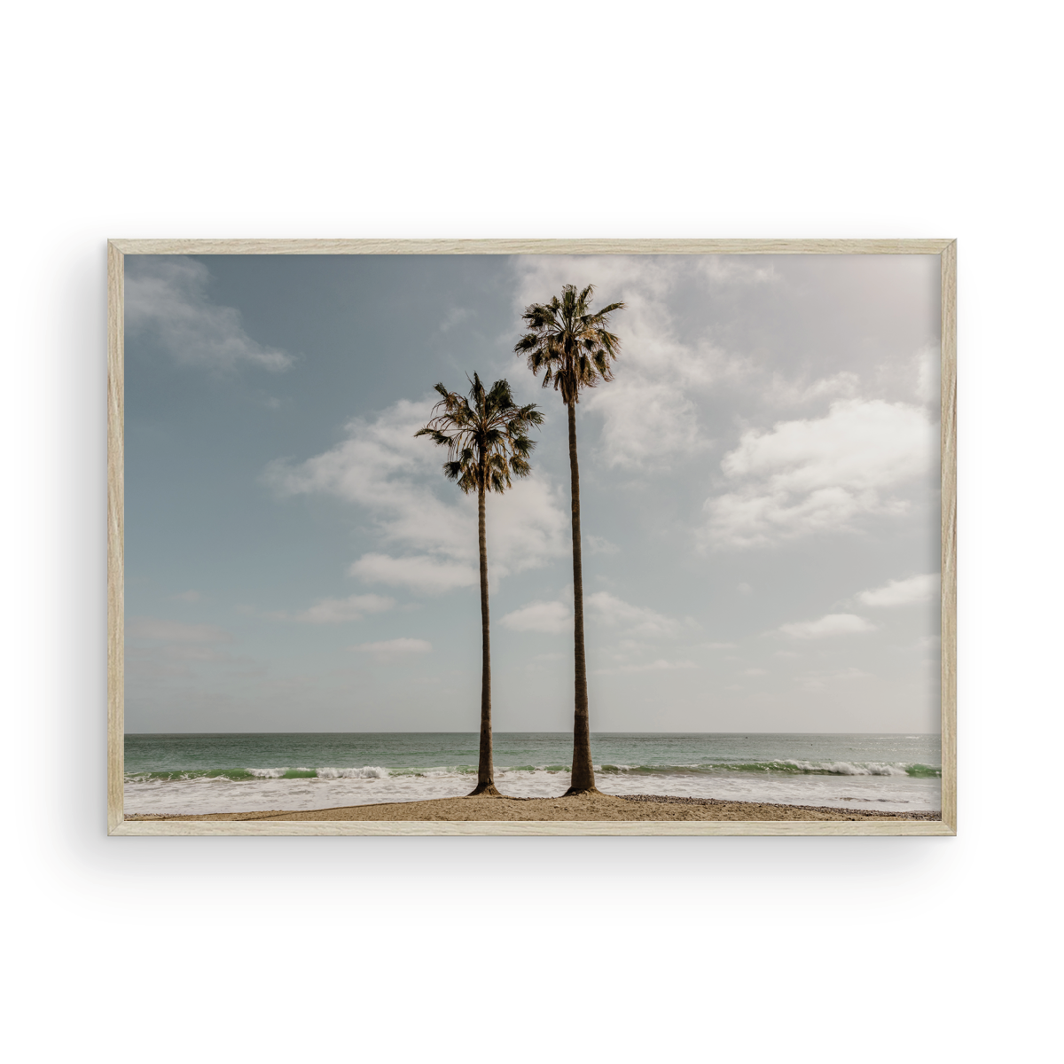 Sibling Palms, One