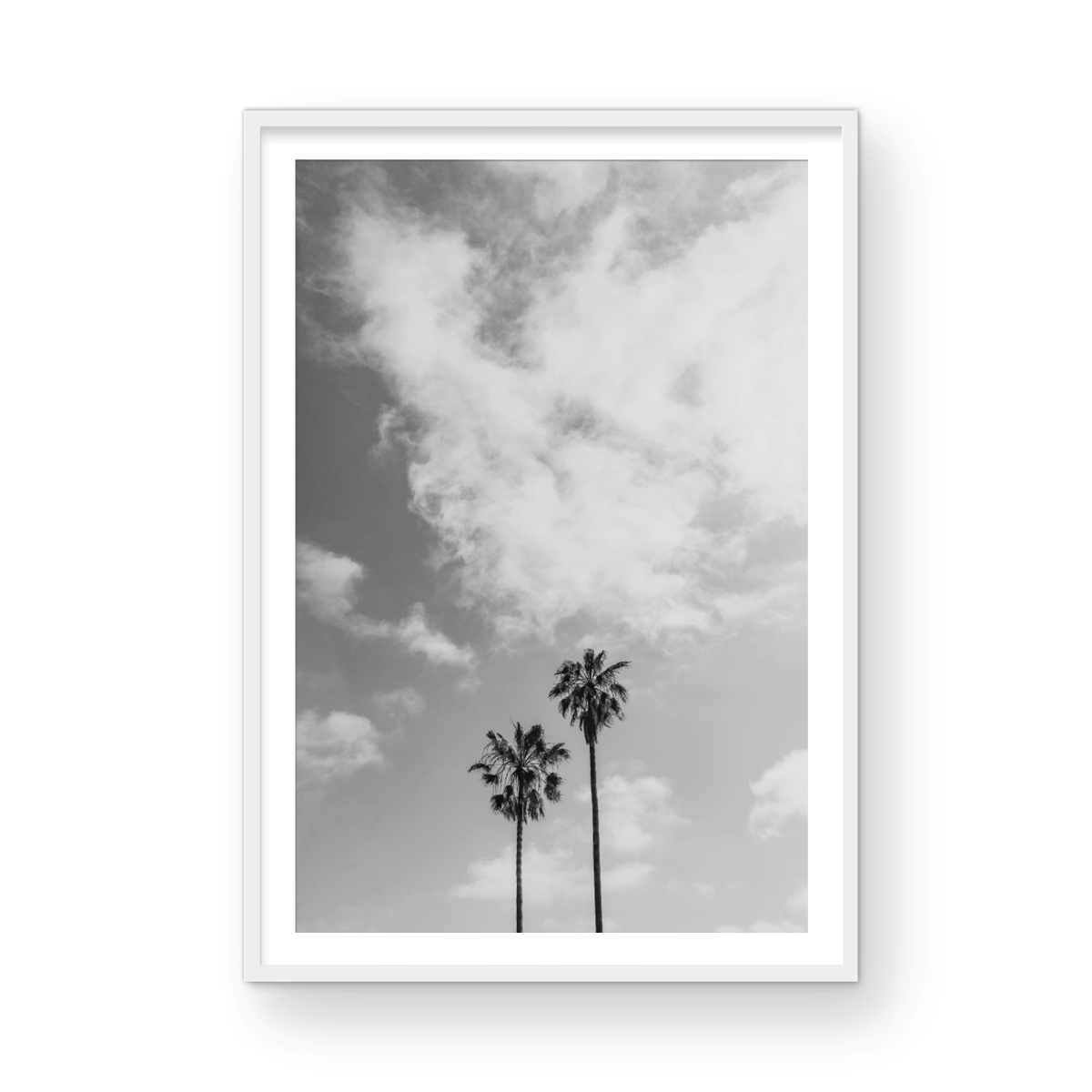 Sibling Palms, Three: Monochrome