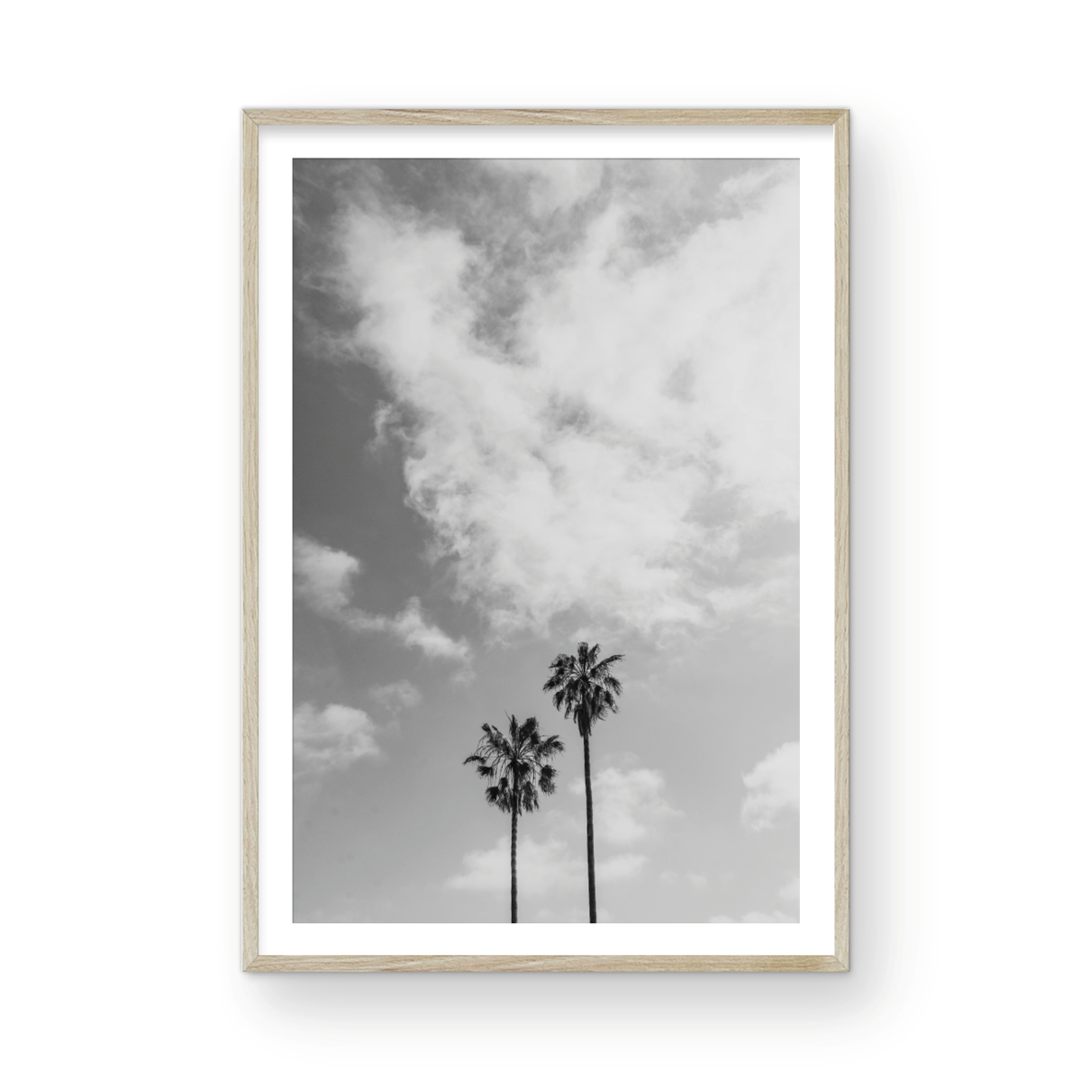 Sibling Palms, Three: Monochrome