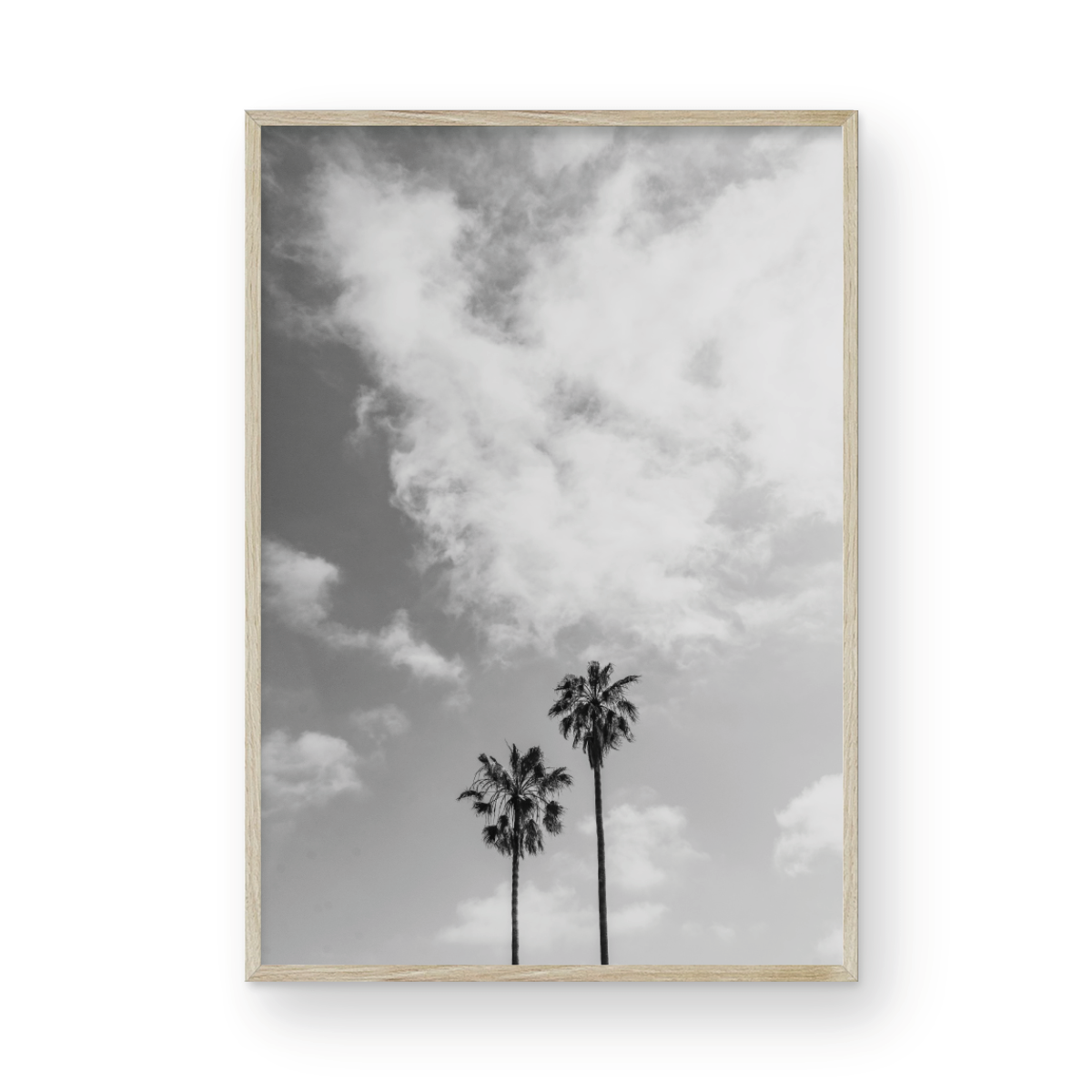 Sibling Palms, Three: Monochrome