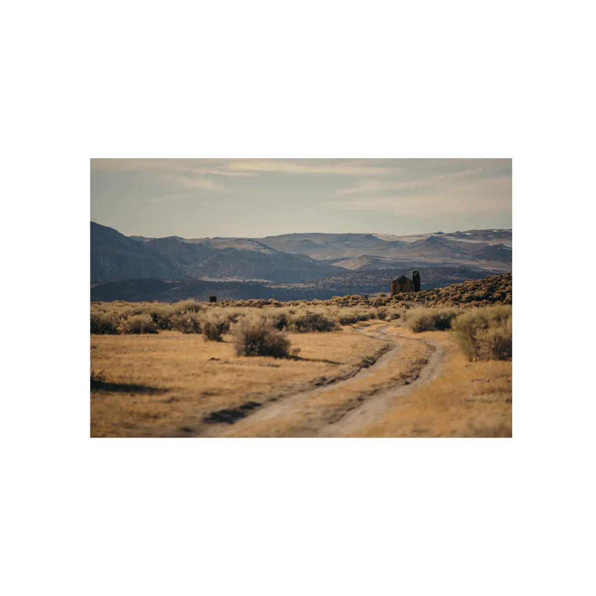 Wild Horses, Five