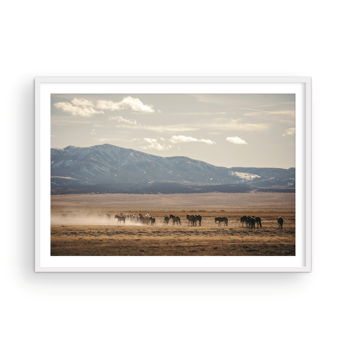 Wild Horse, Four