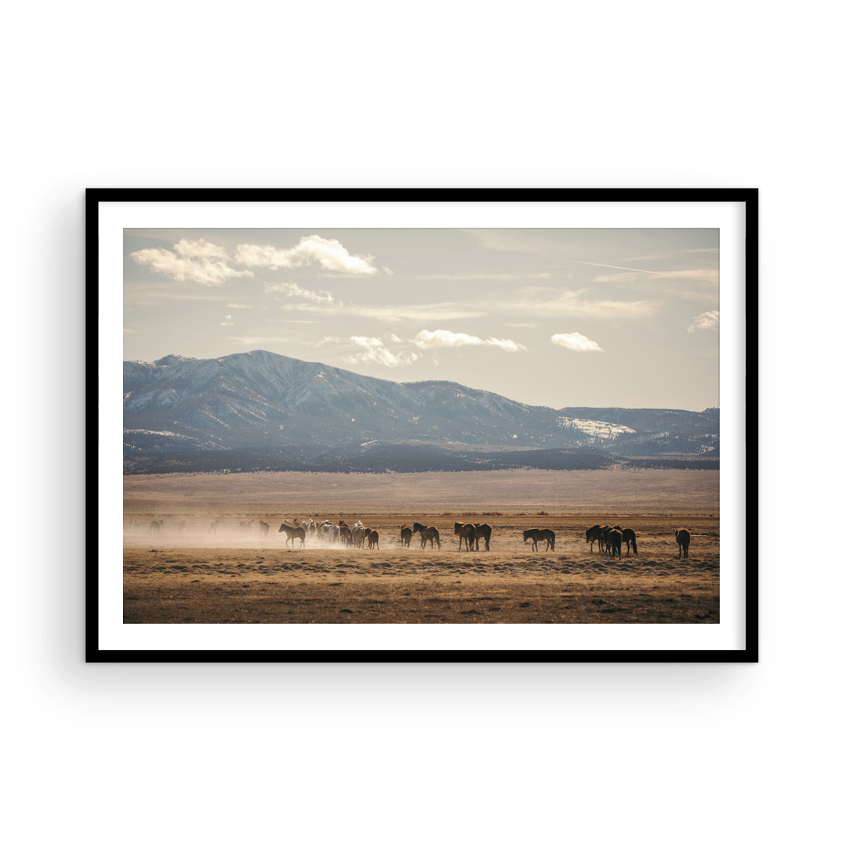 Wild Horse, Four