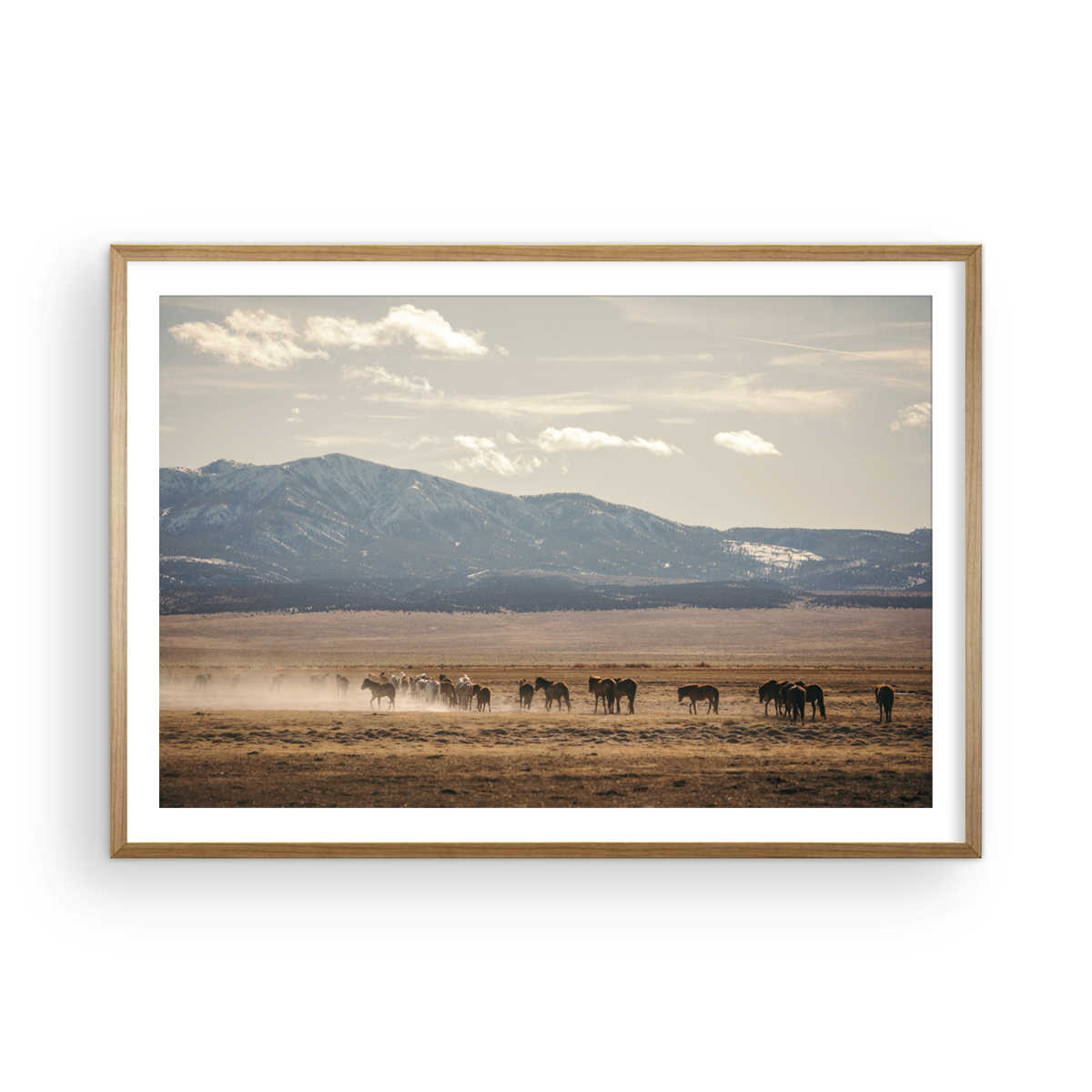 Wild Horse, Four