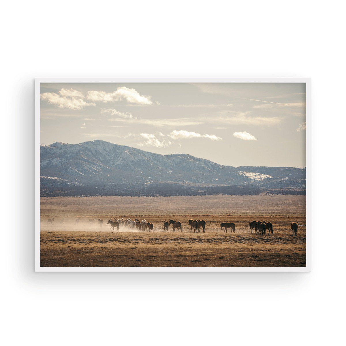 Wild Horse, Four