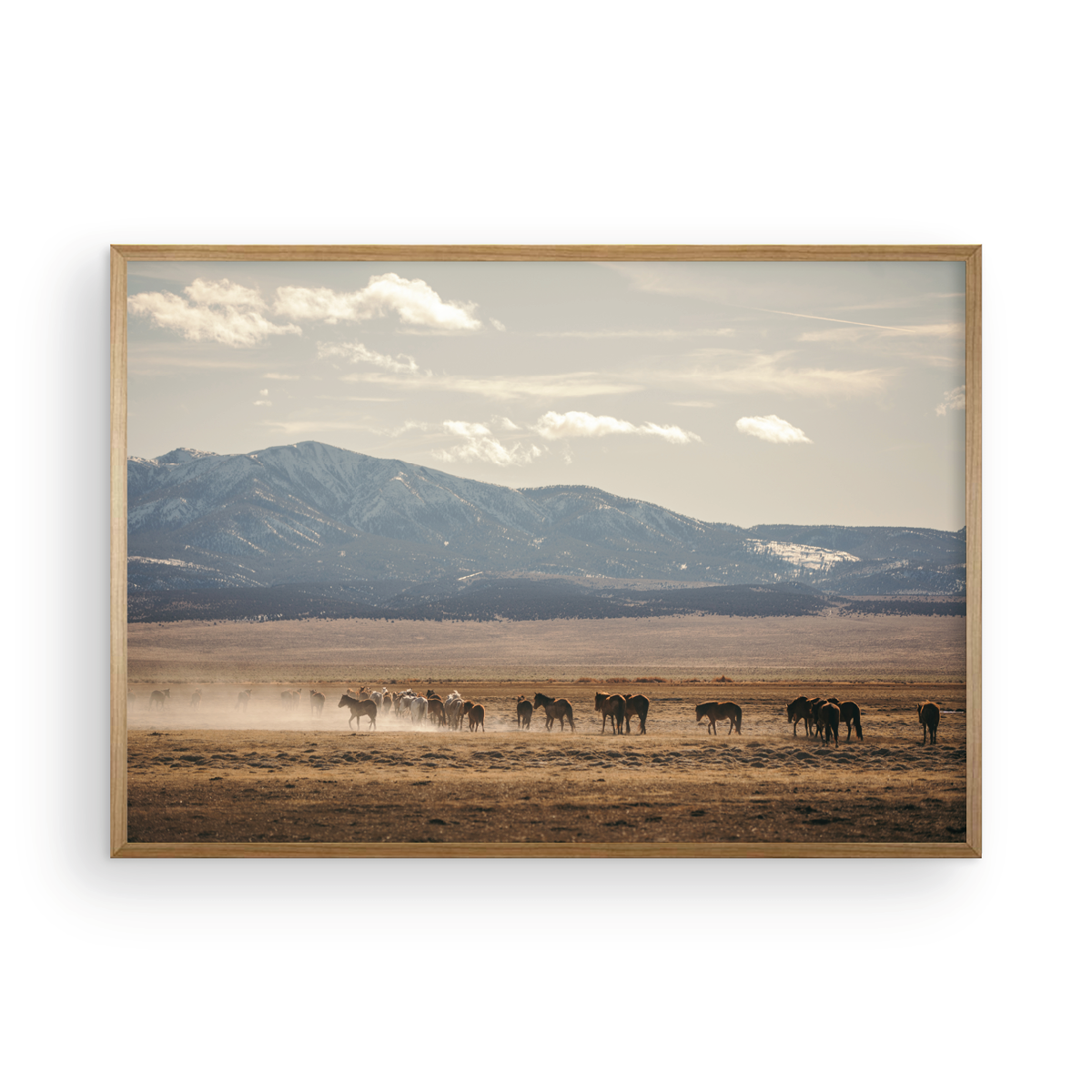 Wild Horse, Four