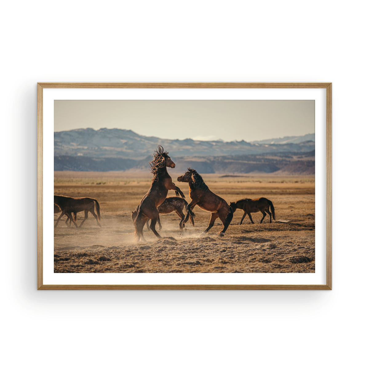 Wild Horses, One