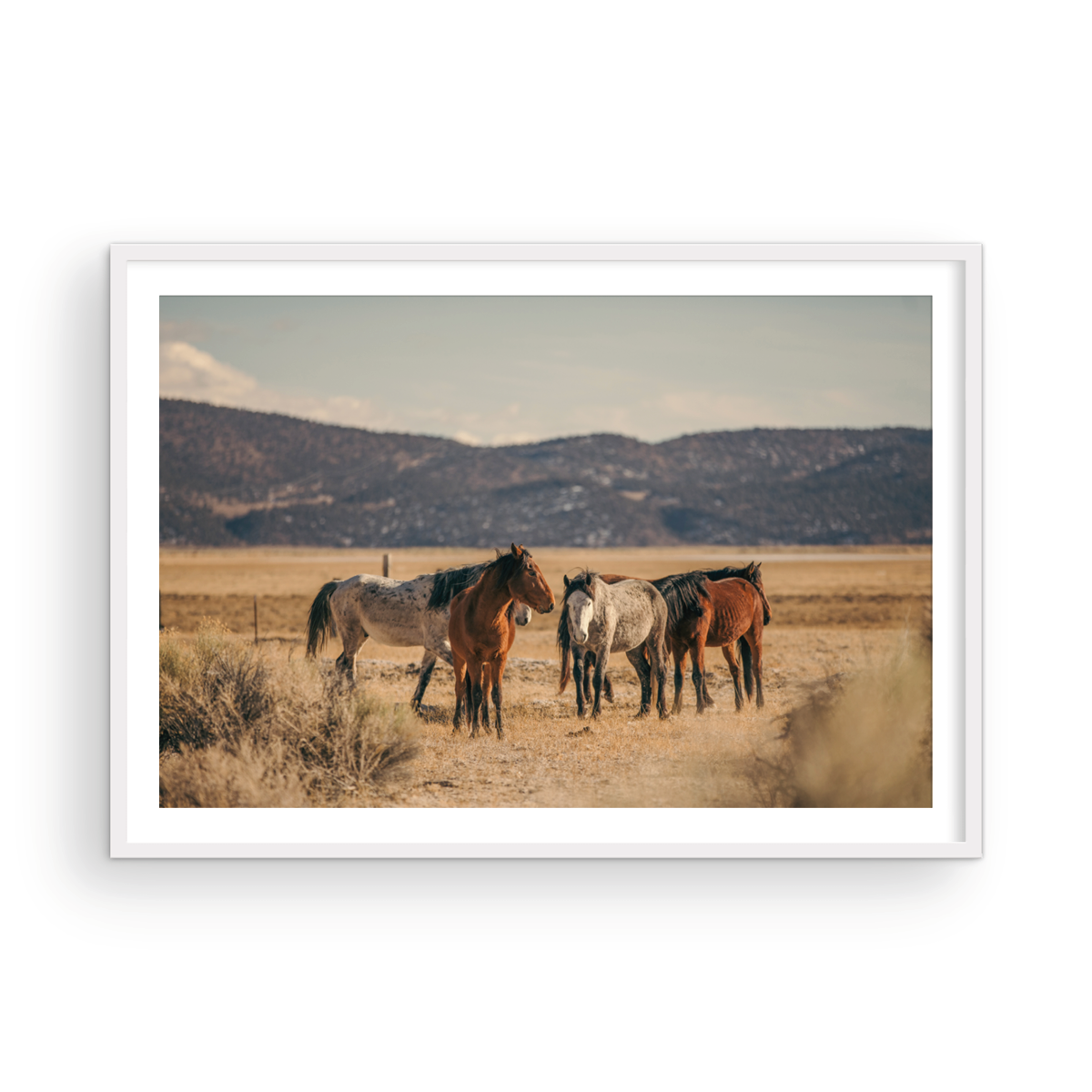 Wild Horses, Two