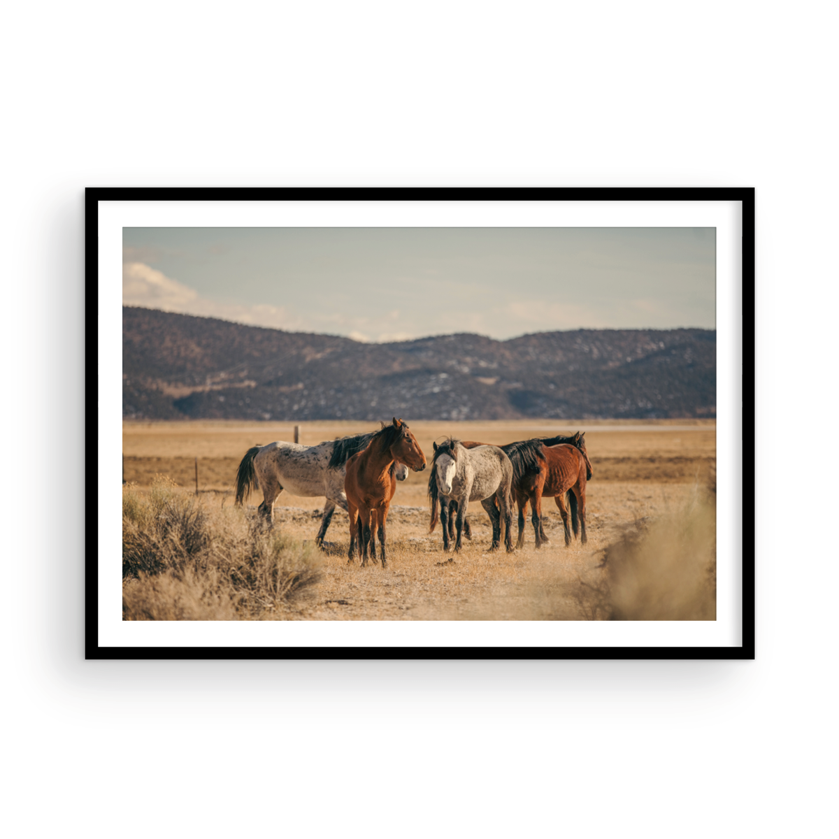 Wild Horses, Two