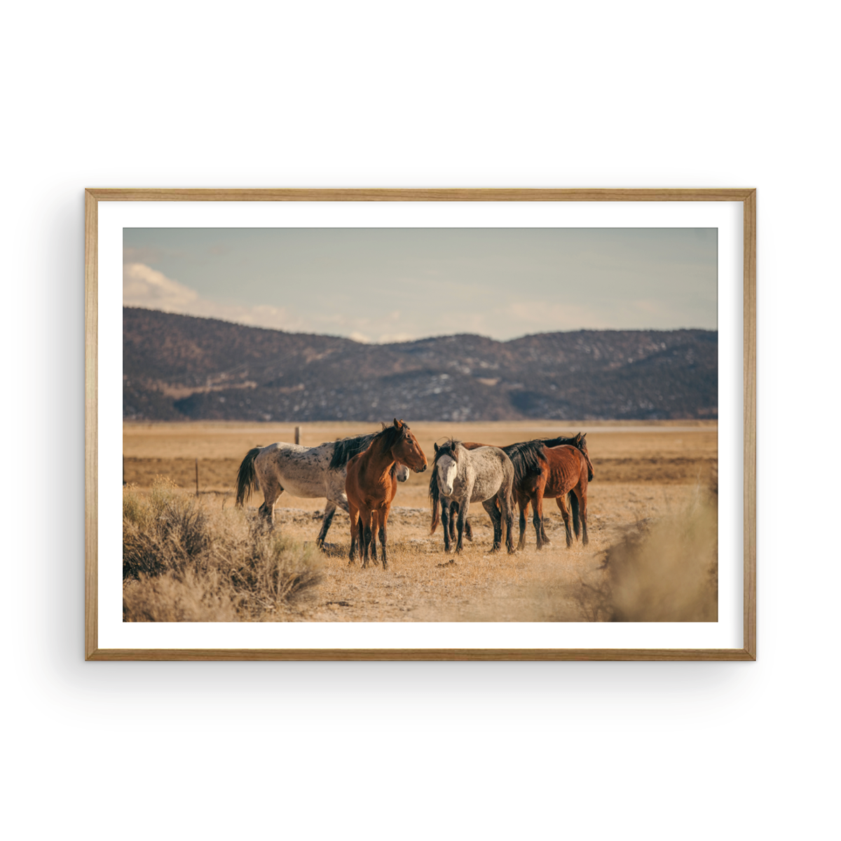 Wild Horses, Two