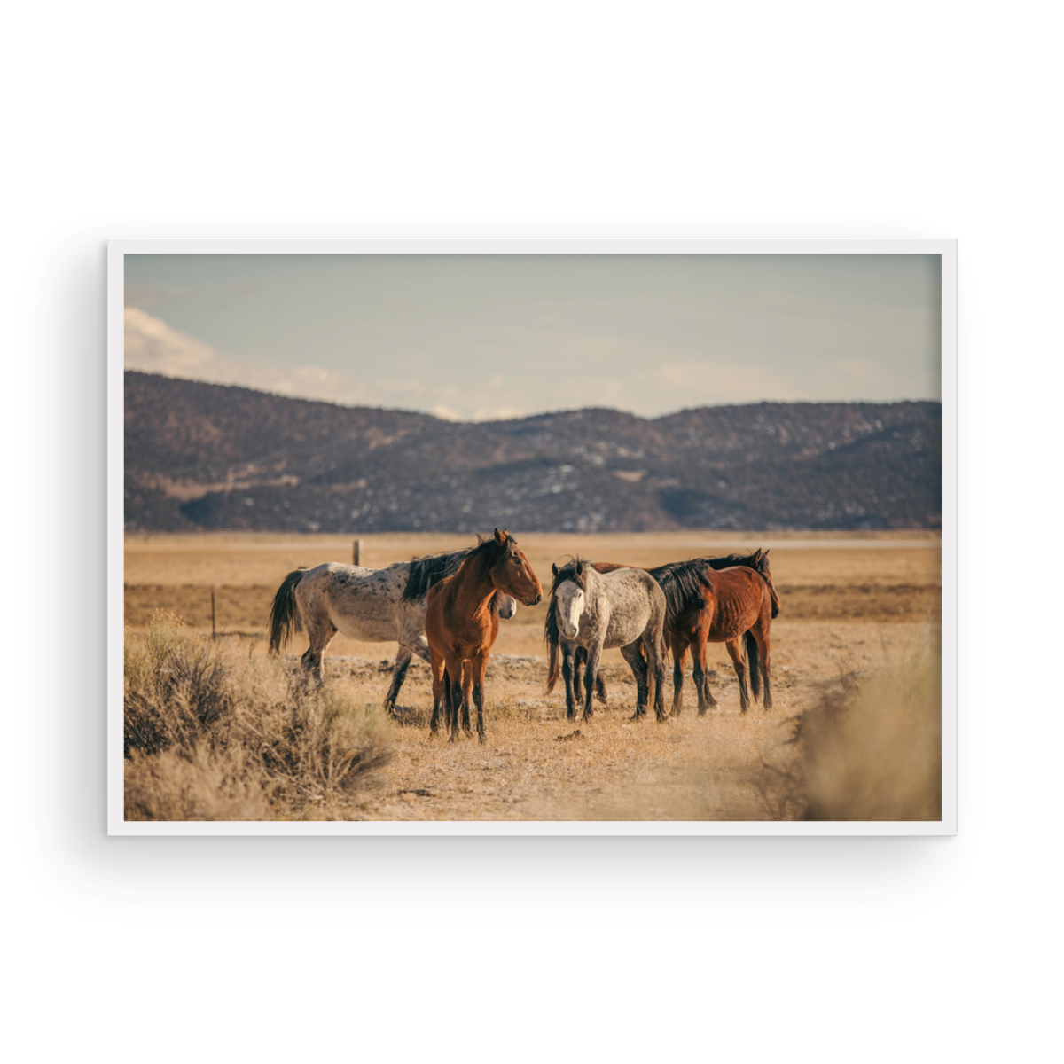 Wild Horses, Two