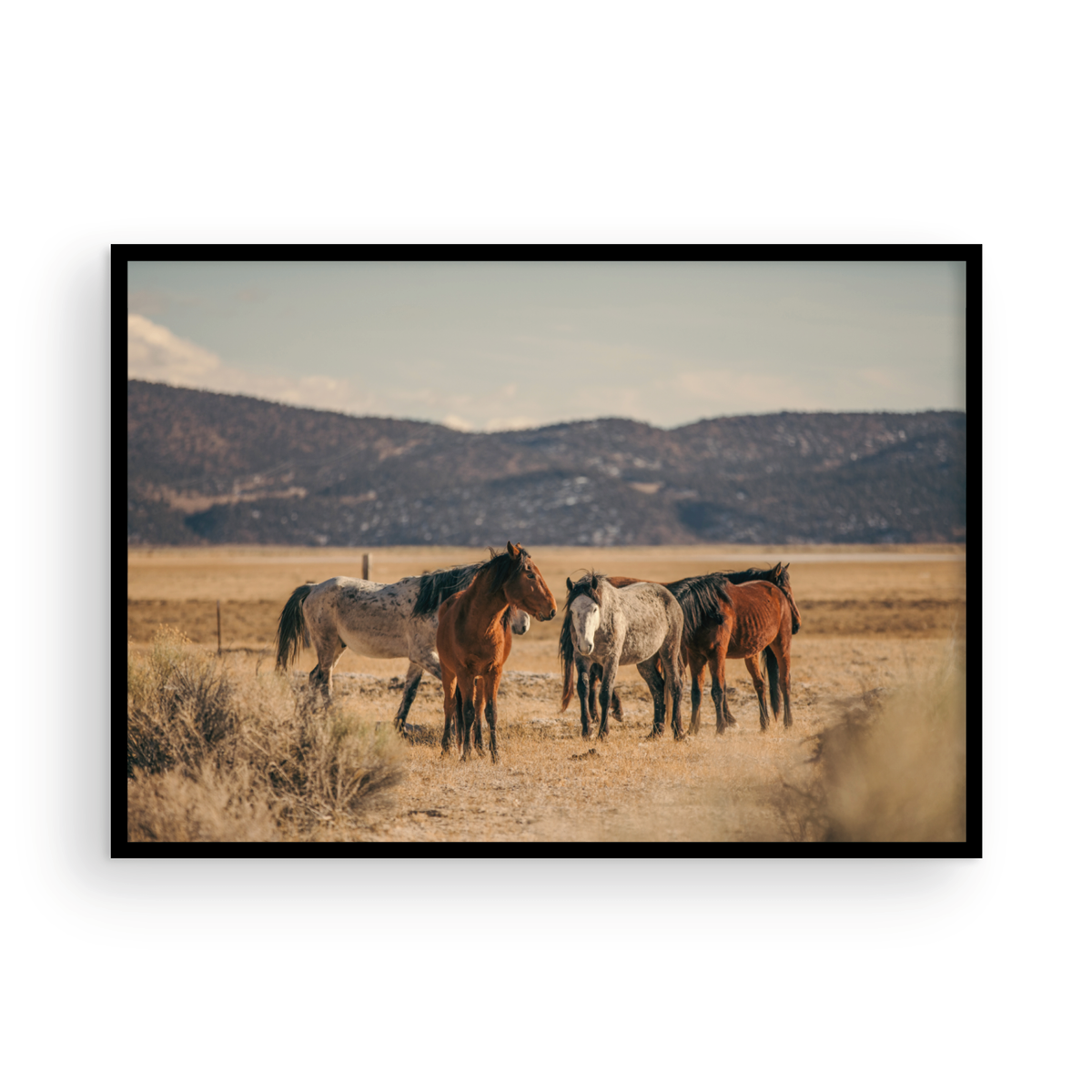 Wild Horses, Two