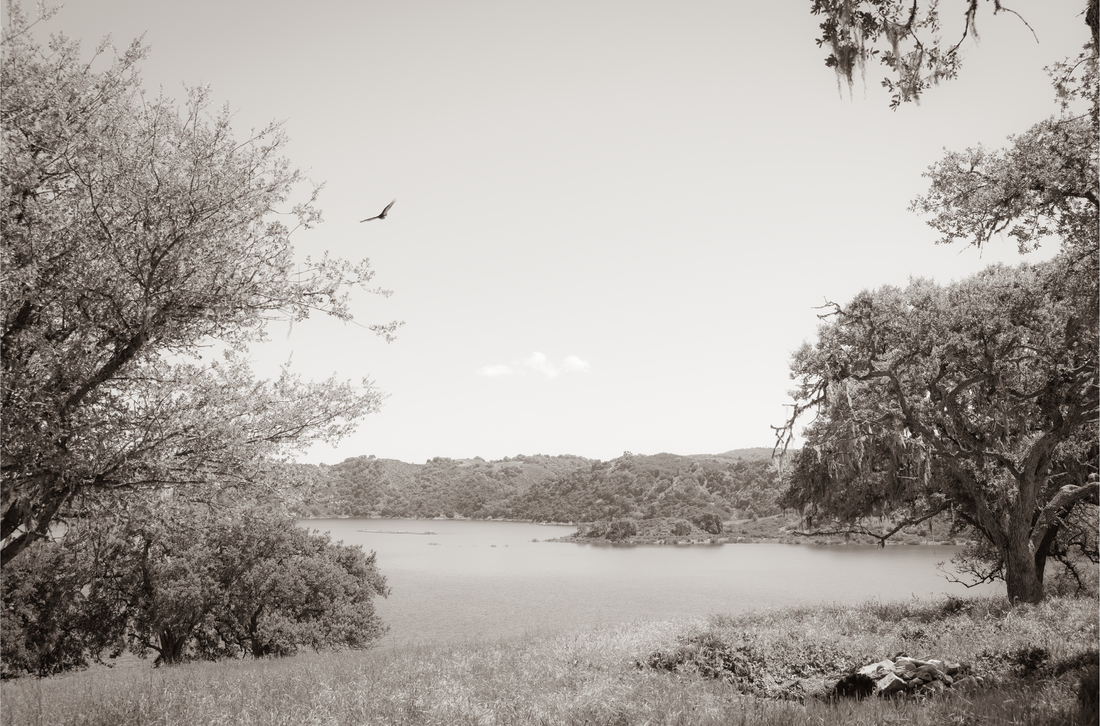 Our Black Friday offerings ...