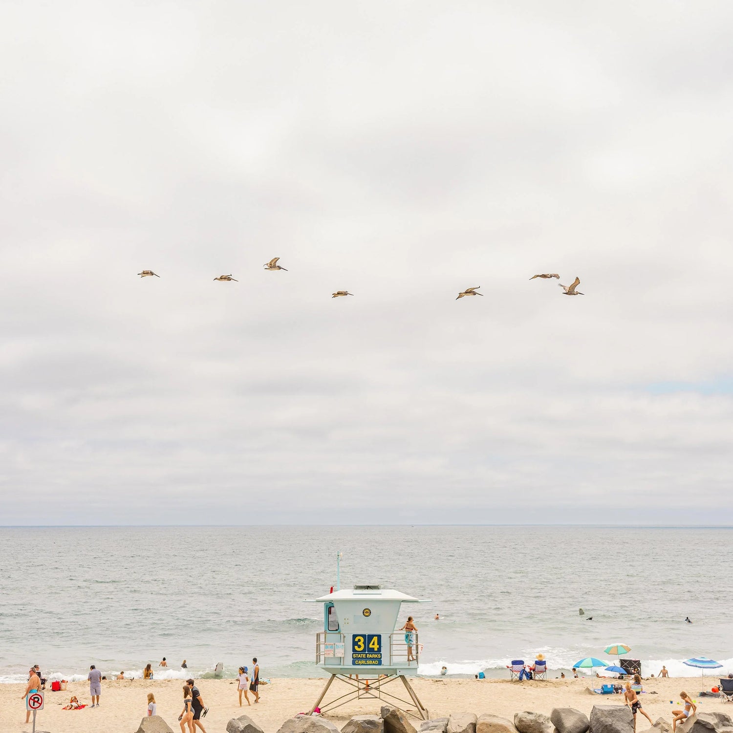 Surfer and birds at Windansea Beach La Jolla San Diego