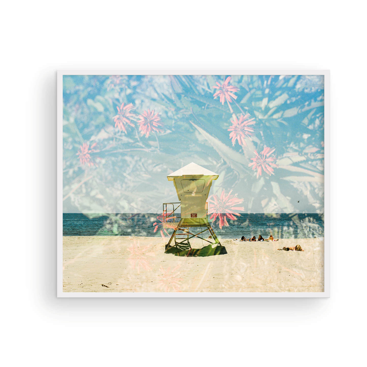 Layered Laguna, Twelve: On Film