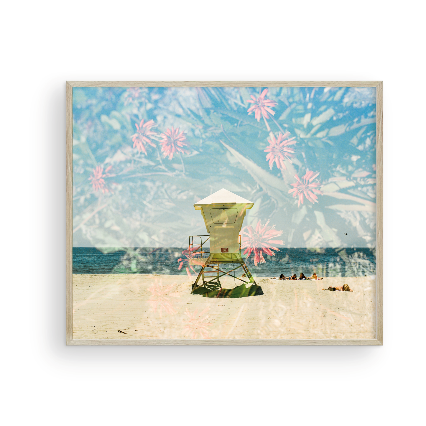 Layered Laguna, Twelve: On Film