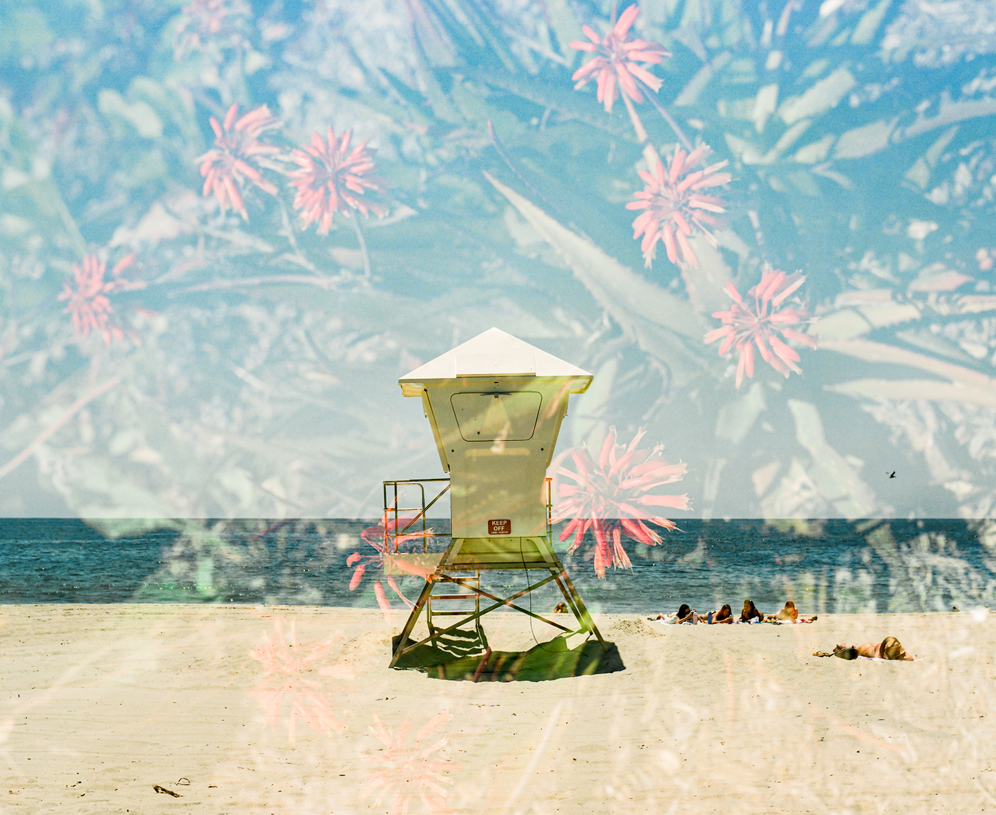 Layered Laguna, Twelve: On Film