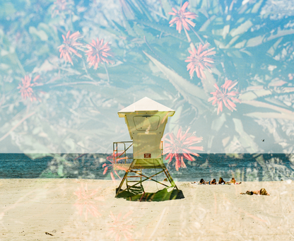 Layered Laguna, Twelve: On Film
