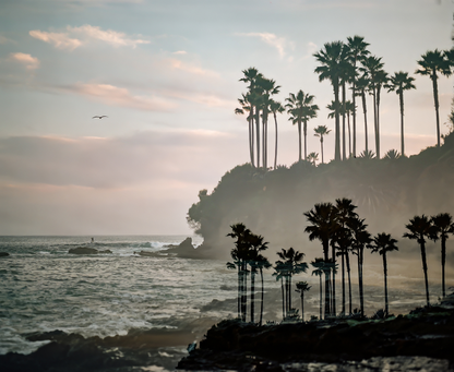 Laguna Layered, Three: On Film