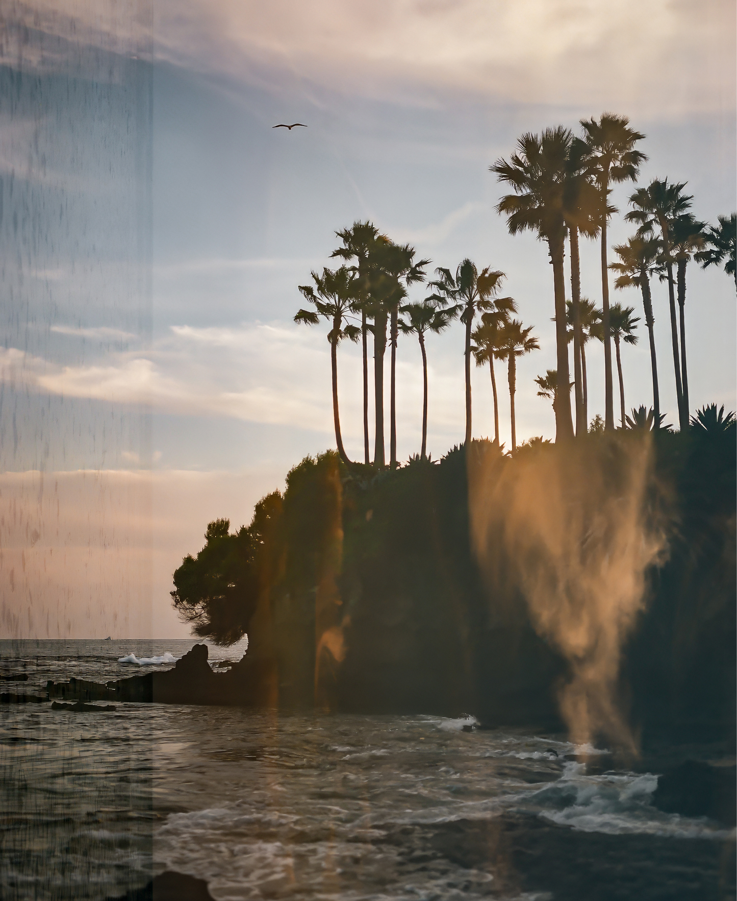 Laguna Layered, Four: On Film