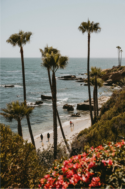 Laguna Beach, Six