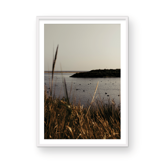 Malibu Lagoon, One