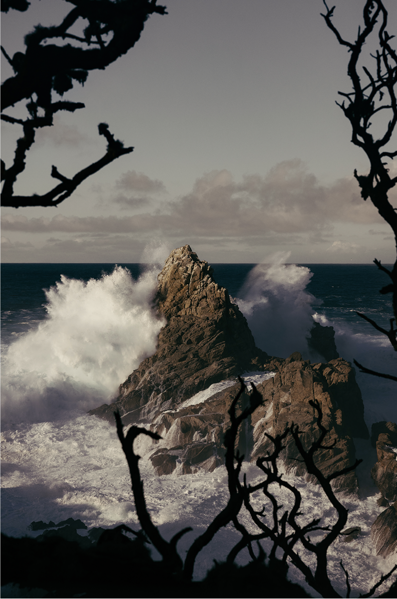 Point Lobos, Two