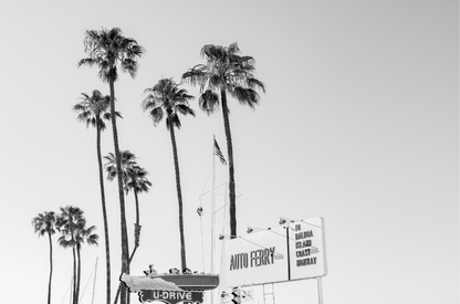 Newport Beach amusement waterfront black and white wall art by Sharon Williams