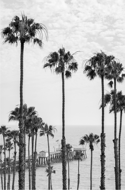 The View, Two: Monochrome