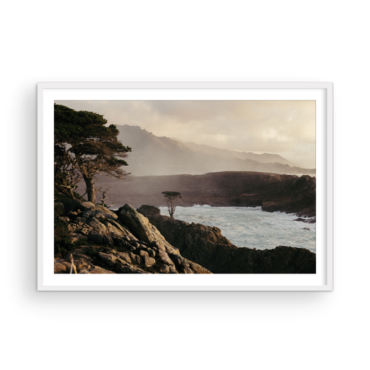Point Lobos, Seven