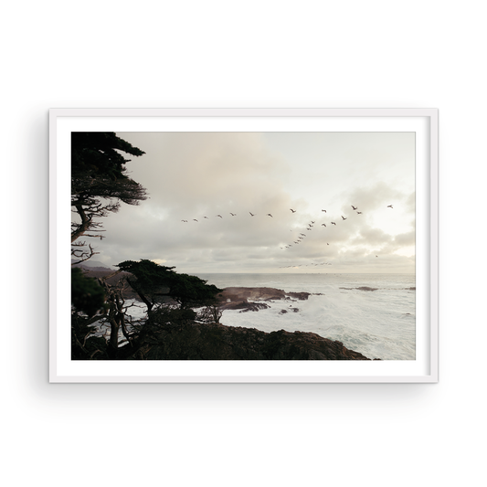 Point Lobos, Six