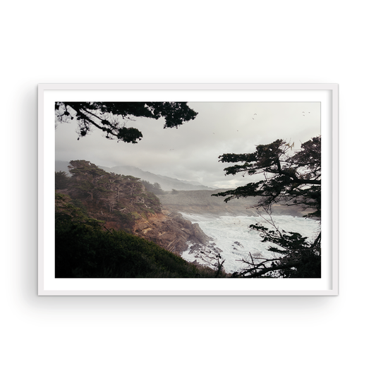 Point Lobos, Five