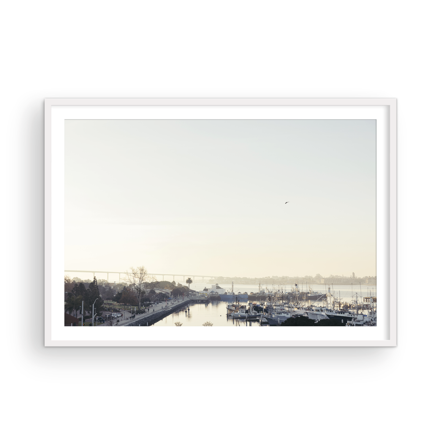 San Diego Harbor, Four