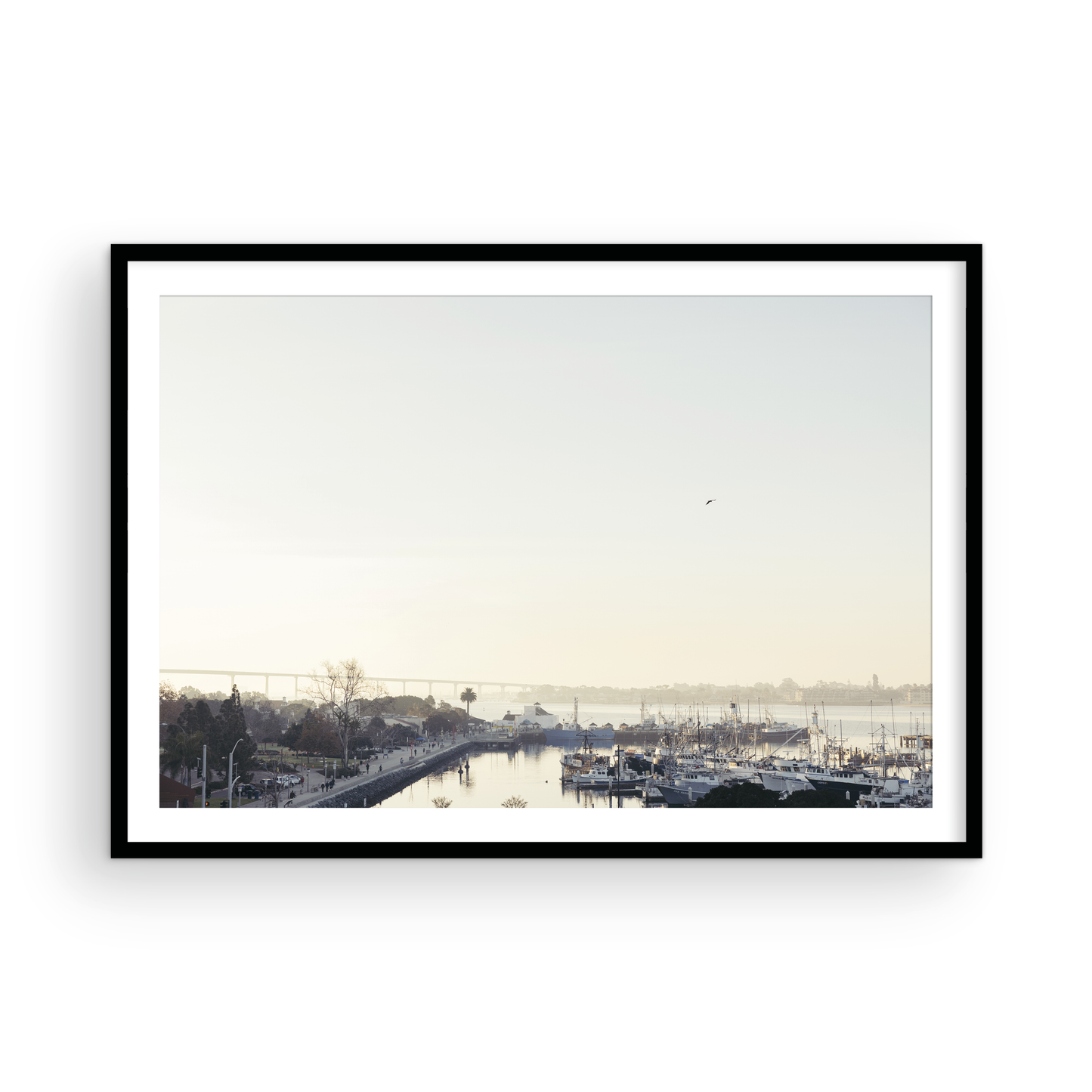 San Diego Harbor, Four