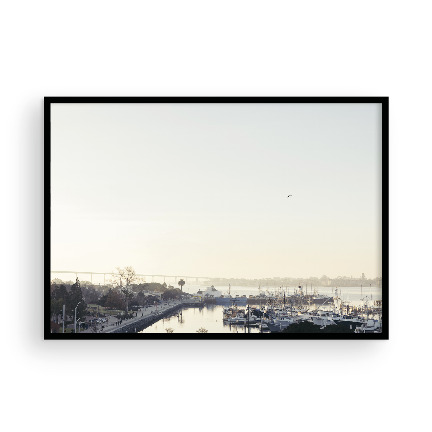 San Diego Harbor, Four