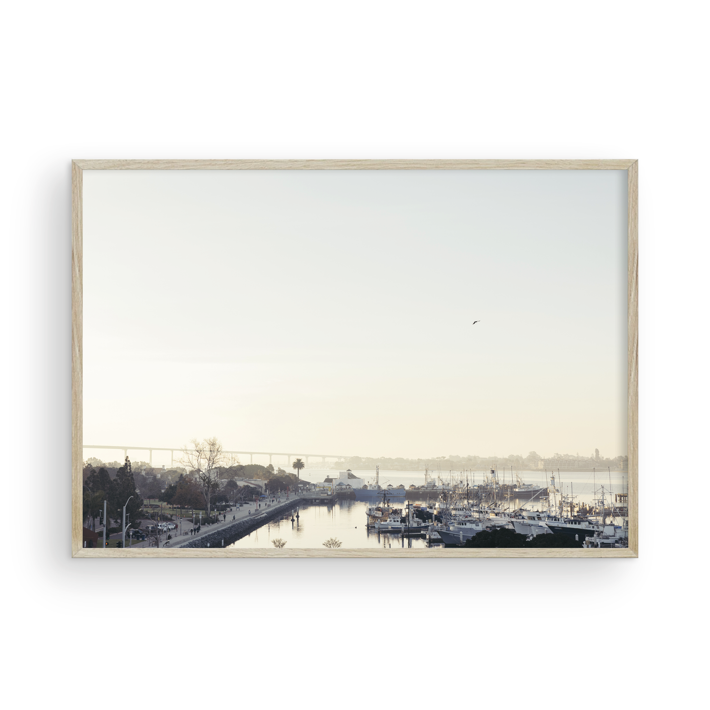 San Diego Harbor, Four