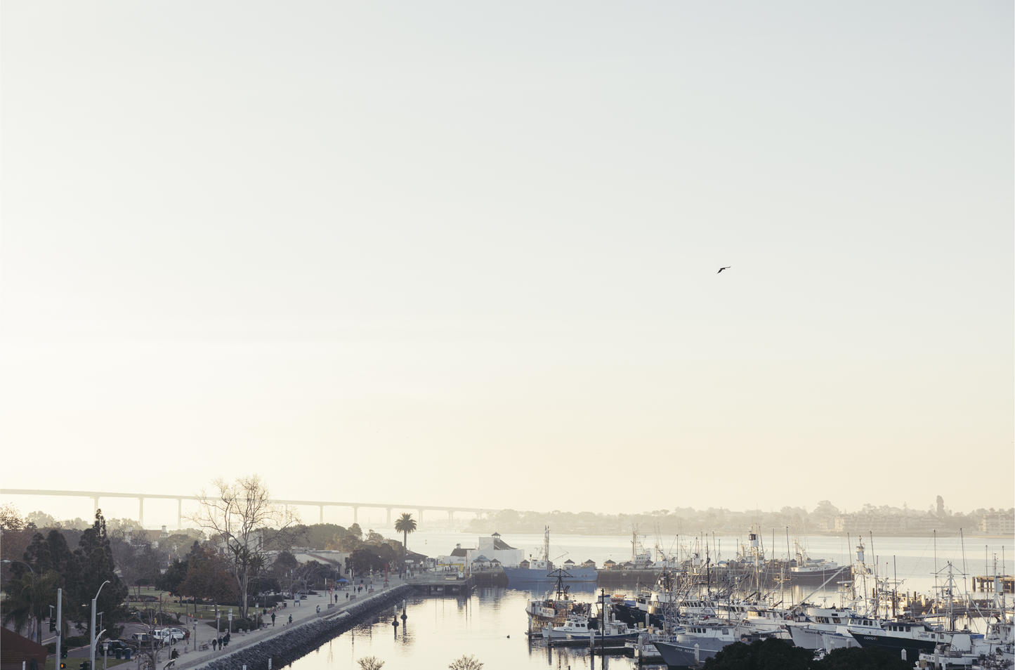San Diego Harbor, Four